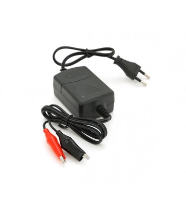 Автоматическое ЗУ для аккумулятора 12V, YS-C5801,100-240V, 1,3A,клеммы(AGM/GEL/Lead)