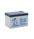Тяговый аккумулятор RITAR EV12-14,12V 14Ah, F2 ( 151 х 98 х 99(105)),4.20kg Q4