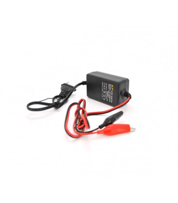 Импульсное ЗУ для аккумуляторов Merlion, 6V, YS-0602 ,100-240V,2A,клеммы(AGM,GEL,Lead)