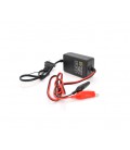 Импульсное ЗУ для аккумуляторов Merlion, 6V, YS-0602 ,100-240V,2A,клеммы(AGM,GEL,Lead)