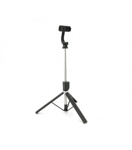 Штатив Nee Pho P-170, высота 31-170см, Bluetooth пульт, Box