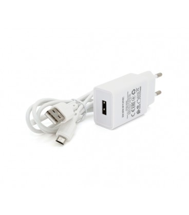 Набор BOROFONE BA68A СЗУ 1xUSB+ кабель Micro, 2.1A, 1м, White, Blister-box