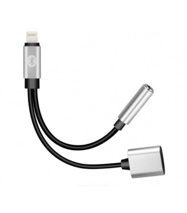 Переходник 2 в 1 Y026 Lighting(M) &gt,Lighting(F) + Jack 3.5mm(F), 5см, Black/Silver, Box