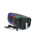 Акустическая система с подсветкой ZQS4246, 2*15W, встроенный аккум 3600mAh, питание от USB кабеля, Black, Box
