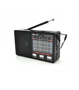 Радиоприемник GOLON RX8866, LED, 3W, FM радио, Входы microSD, USB, AUX, корпус пластмасс, Black, BOX