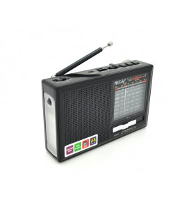 Радиоприемник GOLON RX377BT, LED, 3W, AM/FM радио, Входы microSD, USB, питание от USB кабеля+АКБ BL-5C+2*LR20, корпус пластмасс,