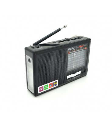 Радиоприемник GOLON RX377BT, LED, 3W, AM/FM радио, Входы microSD, USB, питание от USB кабеля+АКБ BL-5C+2*LR20, корпус пластмасс,