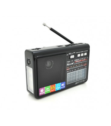 Радиоприемник GOLON RX1313, LED, 3W, AM/FM радио, Входы microSD, USB, питание от 220+АКБ BL-5C+2*LR20, корпус пластмасс, Black, 