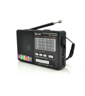 Радиоприемник GOLON RX2277, LED, 3W, AM/FM радио, Входы microSD, USB, AUX, питание от USB+АКБ BL-5C, корпус пластмасс, Black, BO