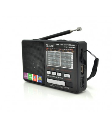 Радиоприемник GOLON RX2277, LED, 3W, AM/FM радио, Входы microSD, USB, AUX, питание от USB+АКБ BL-5C, корпус пластмасс, Black, BO