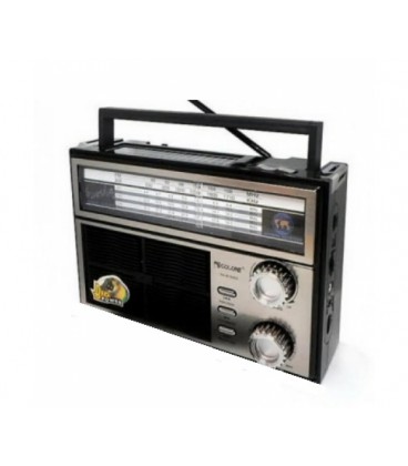 Радиоприемник GOLON RX-626S SOLAR, 3W, FM радио, Входы microSD, USB, AUX, корпус паласмасс, Black, BOX