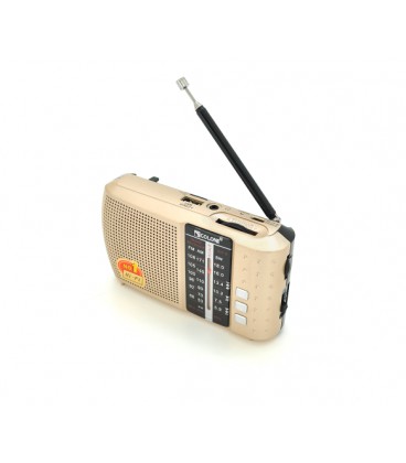 Радиоприемник COLON RXICF8BT, LED, 3W, AM/FM радио, Входы microSD, USB, Bluetooth, питание от 220+АКБ, корпус пластмасс, BOX