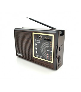 Радиоприемник GOLON RX9933UAR, 6W, AM/FM радио, Входы microSD, USB, питание от 220+АКБ+4*LR20, корпус пластмасс, Black/Brown, BO