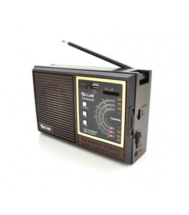 Радиоприемник GOLON RX9933UAR, 6W, AM/FM радио, Входы microSD, USB, питание от 220+АКБ+4*LR20, корпус пластмасс, Black/Brown, BO