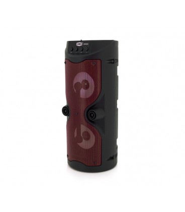 Акустическая система с подсветкой S4402, 5W, встроенный аккум 1200mAh, питание от USB кабеля, Black, Box