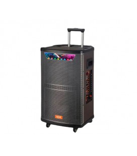 Мощная акустическая система с подсветкой NDR-515, 8000W, 2*Bluetooth микрофона, пульт, Радио, встроенный аккум 12В 14А, питание 