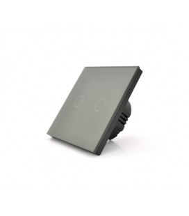 Сенсорный выключатель с заземлением + WiFi управление, двухканальный, gray, 86х86х35мм