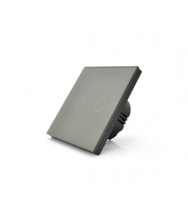 Сенсорный выключатель с заземлением + WiFi управление, двухканальный, gray, 86х86х35мм