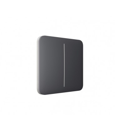 Кнопка для двухклавишного выключателя Ajax SoloButton (2-gang) graphite