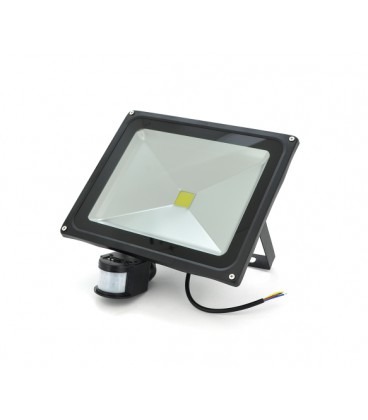 Прожектор LED c датчиком движения RJ-G-50W, IP66, 6400K (100%)